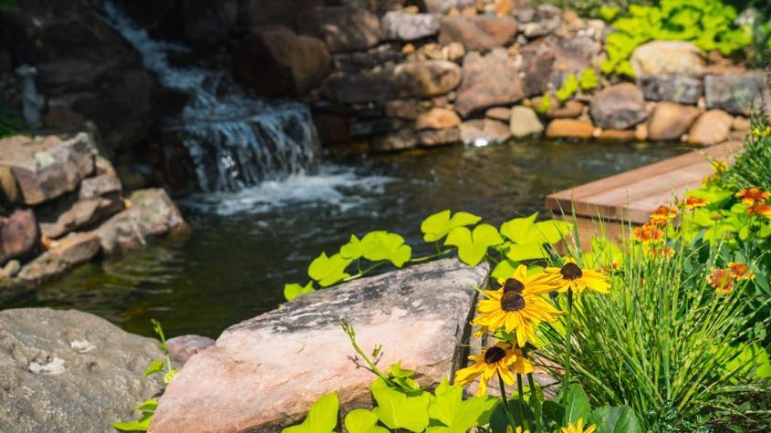 Landscape Designer Landscaping Services Nash Texarkana Tx